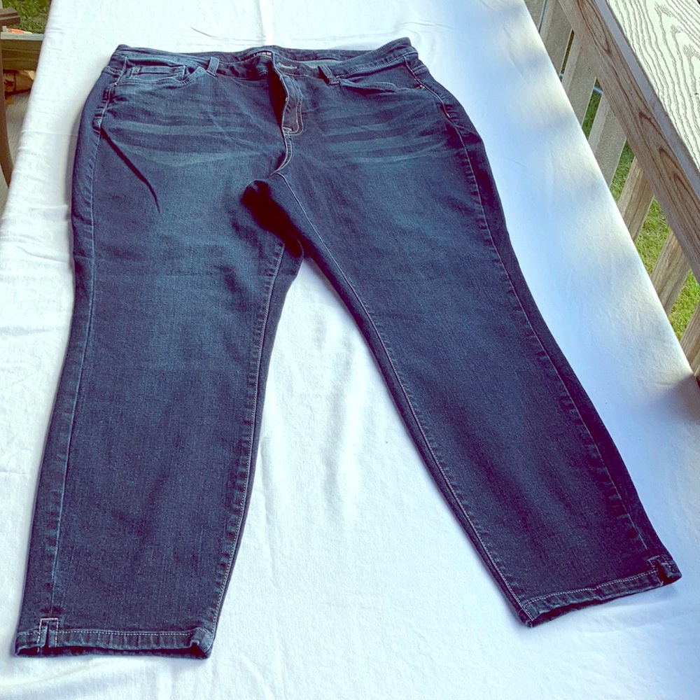 Lane Bryant skinny jeans